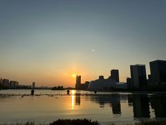 -金沙湖公园
