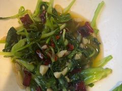 -大鸽饭(马王堆店)