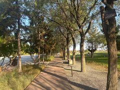 -汉长安城未央宫国家考古遗址公园