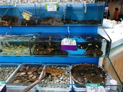 水产区-港畔赶海蒸汽海鲜烧烤自助(仙螺岛店)