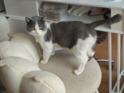 -ChuLian初莲日式美甲美睫