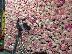 -UltraForce超源健身私教工作室(长楹天街精品店)