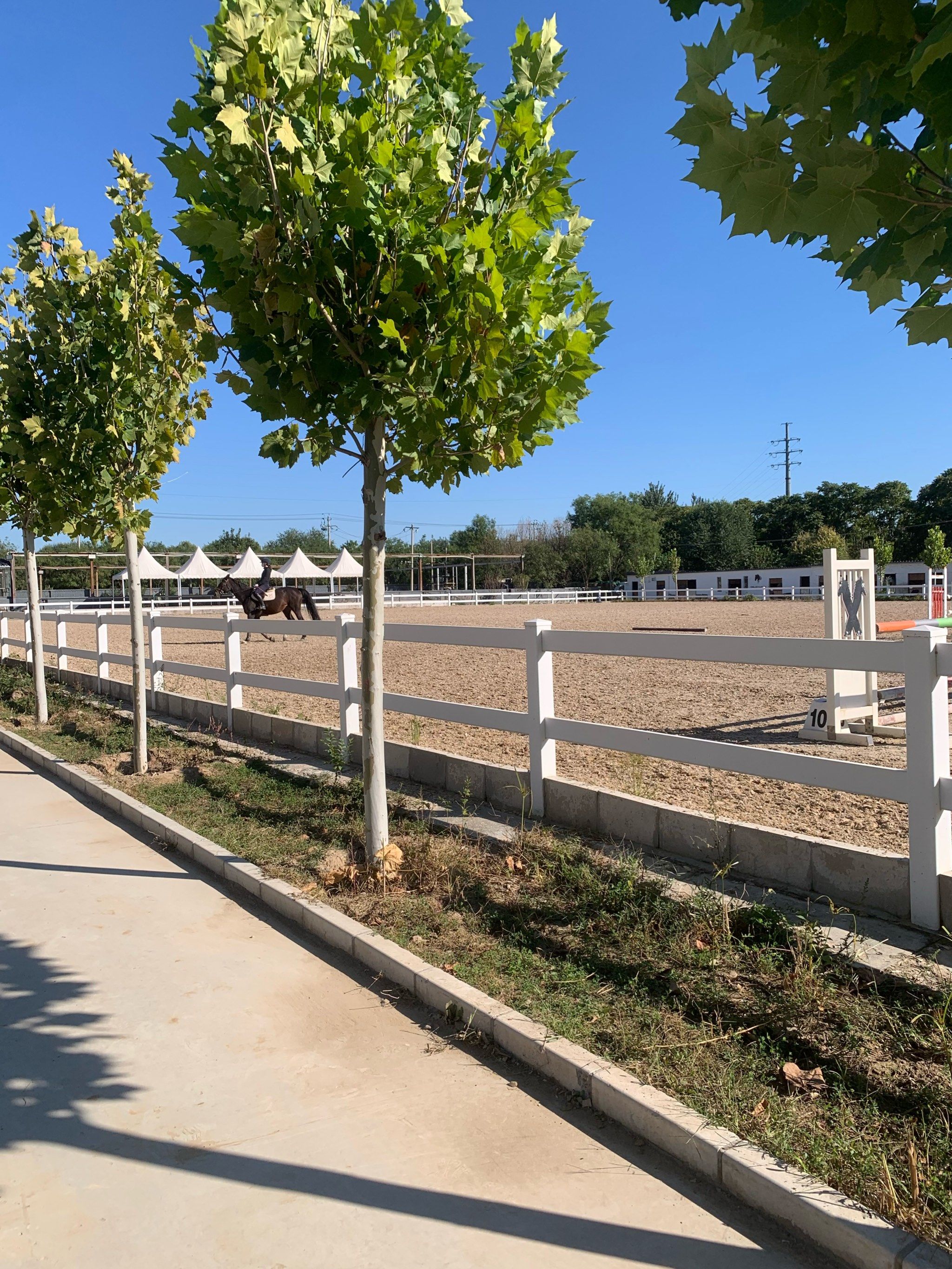 0元玩转这座城
今天来顺义这边的马场来骑马
主要以体验为主
