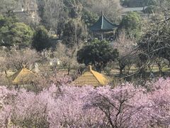 -无锡梅园公园