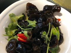 双椒木耳-阿三鱼头泡饼·家常菜