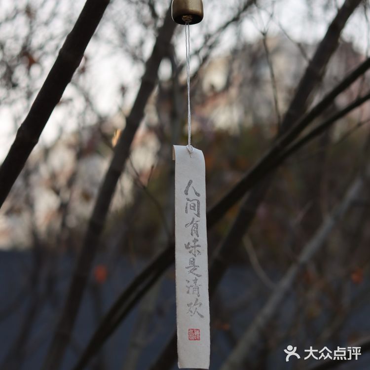 大连新店｜居民区里的小资田园咖啡馆