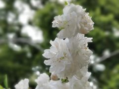 -上海市龙华烈士陵园