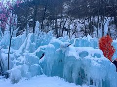 -青峰峡国家森林公园