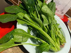 -谭焱火锅(蓝天市心广场店)