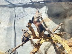 -Zoolung Zoolung动物主题公园(海信广场店)