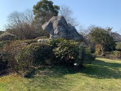 -桃花岛景观公园