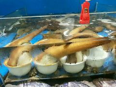 -蓝珊瑚蒸汽海鲜餐厅(龙奥店)