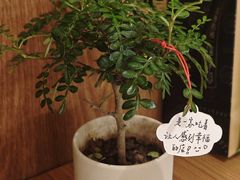 -CURRY YA 熟成咖哩專門店(深圳湾万象城店)