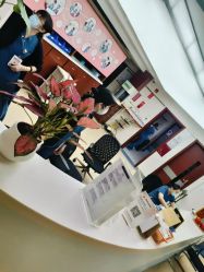 -复旦大学附属妇产科医院(杨浦院区)