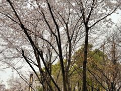 -枫桥景区