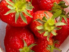 -清真刘记全羊肉鲜汤馆(前进路店)