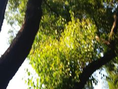 -东风公园