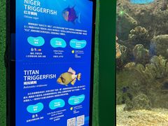 -福州罗源湾海洋世界旅游区