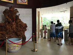 -三亚海棠湾南田温泉神龙谷