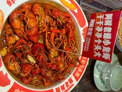 -阿财老铺·老蚌埠龙虾城(华夏总店)