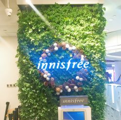 -悦诗风吟innisfree