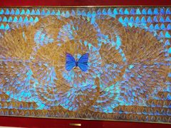 -上海昆虫博物馆