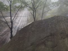 -王顺山国家森林公园