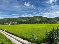 -南泥湾风景区