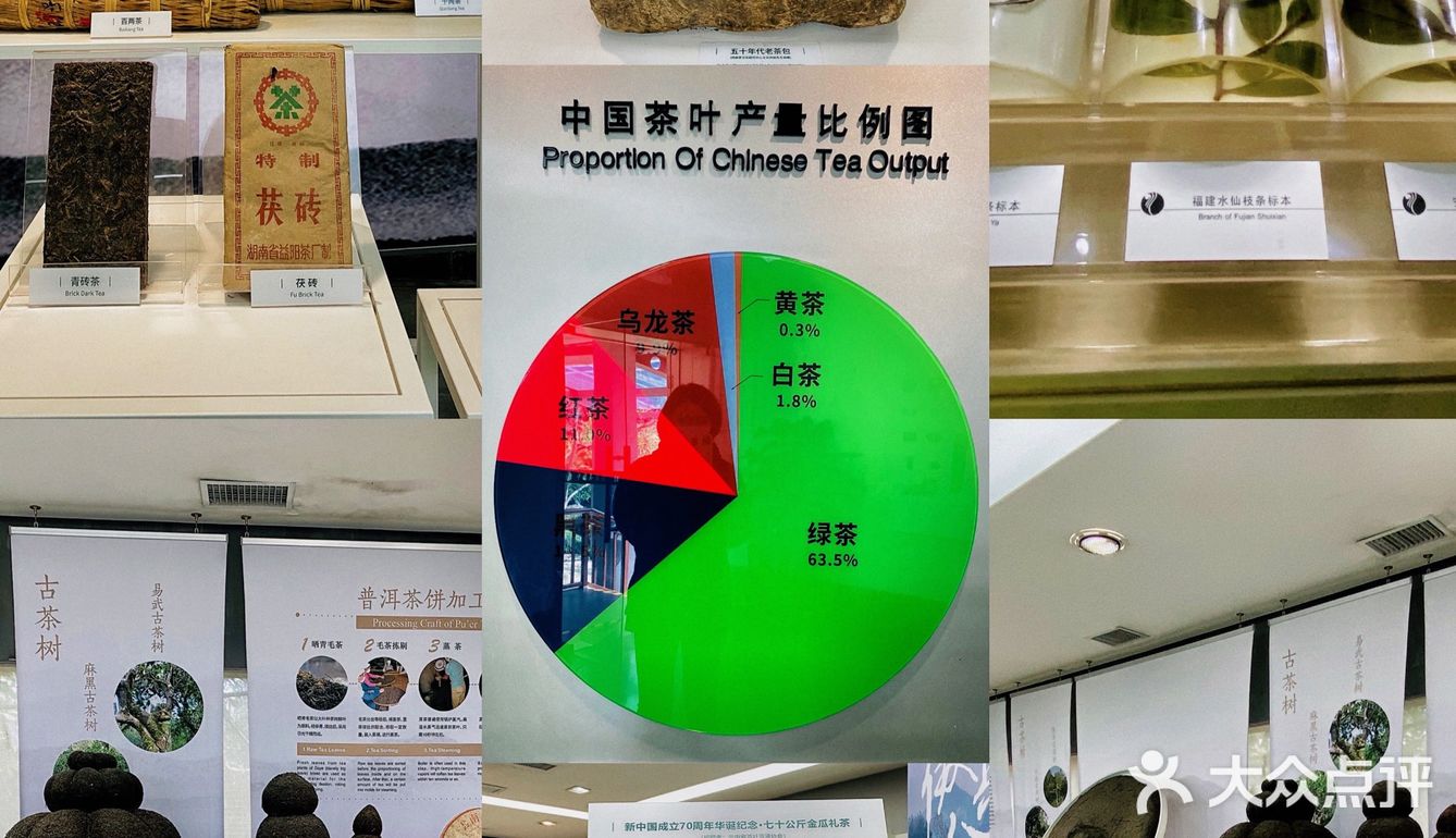 杭州游记｜茶文化主题展馆｜中国茶叶博物馆