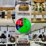 杭州游记｜茶文化主题展馆｜中国茶叶博物馆