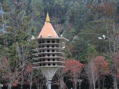 -顺峰山公园