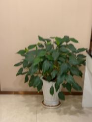 -JustHer宁波珈禾医疗美容医院