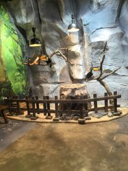 -Zoolung Zoolung动物主题公园(海信广场店)