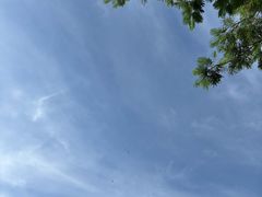 -深圳龙潭公园