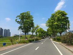 -光明小镇欢乐田园