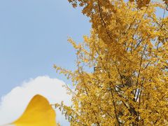 -百林公园-两江幸福广场