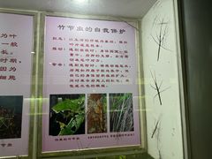 -上海昆虫博物馆