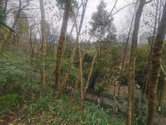 -重庆彩云湖湿地公园