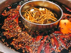 -一斗火锅·招财羊毛肚(北温泉九号店)