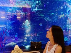 -迪拜帆船酒店海底餐厅