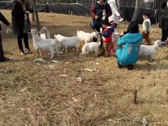 -杭州师范大学(下沙校区)