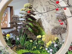-杭州植物园