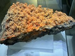 -湖南省地质博物馆