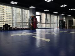 -咏春拳学总会·一拳咏春(双井店)