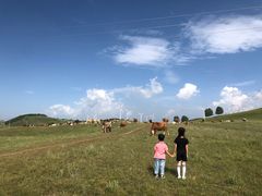 -塞罕坝国家级自然保护区