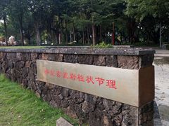 -王借岗森林公园