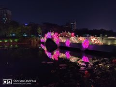 -映月湖公园