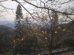 -广州市白云山风景名胜区