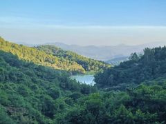 -广州白江湖森林公园