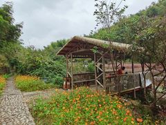 -宁波浙东大竹海景区